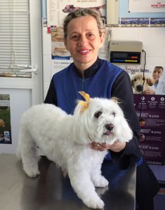 María José Aroca - Peluquera Canina y Felina