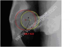 RADIOGRAFIA PENHIPP