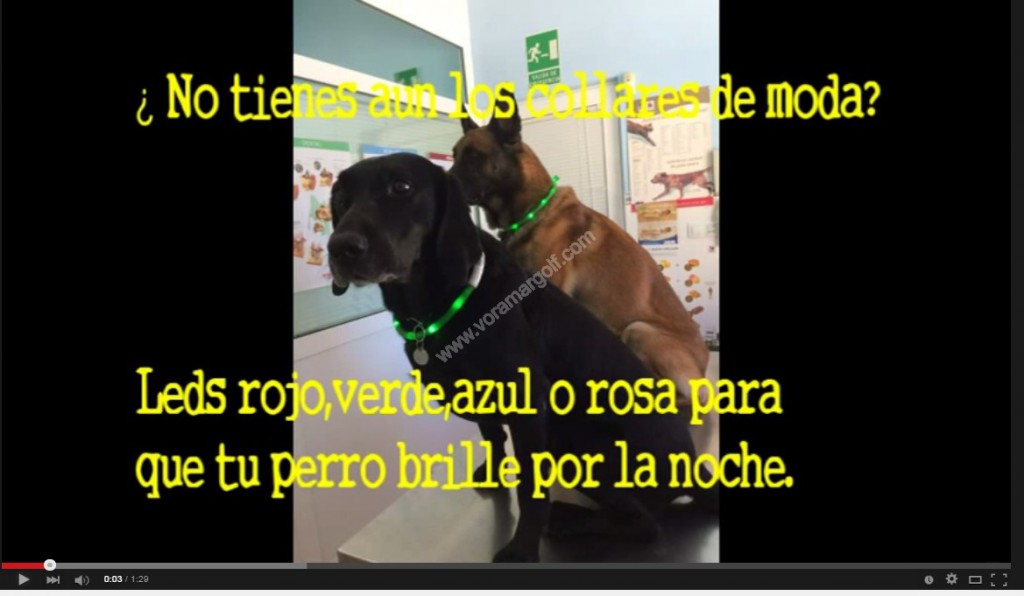 ¿ Aún no tienes los collares de moda? Haz que tu perro brille por la noche y no se pierda. Tenemos en todos los colores, rojo, azul , verde o rosa. !! Vena a elegir el tuyo!! 