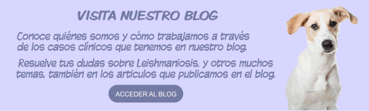 Accede a nuestro Blog y consulta todos nuestros artículos