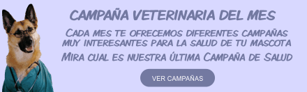 Campaña veterinaria del mes. Cada mes te ofrecemos diferentes campañas muy interesantes para la salud de tu mascota. Mira cuál es nuestra última campaña de salud