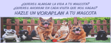 ¿Quieres alargar la vida a tu mascota? ¿Quieres ahorrar en cada visita que nos hagas? Hazle un VoraPlan a tu mascota